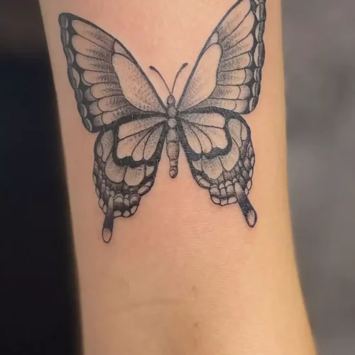 Tattoo Klein Zwart Vlinder | Portfolio | Tattoo Studio Apart Waddinxveen